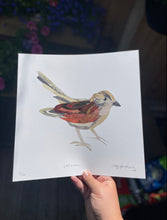 Load image into Gallery viewer, Limited Edition Sparrow Collage 30cm x 30cm Digital Print
