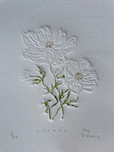 Load image into Gallery viewer, Limited Edition Cosmos Flower of the Month Embossing and Drawing
