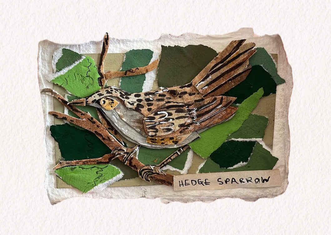 Limited Edition Sparrow Collage Print