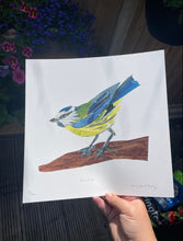 Load image into Gallery viewer, Limited Edition Blue Tit Collage 30cm x 30cm Digital Print
