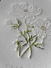 Load image into Gallery viewer, Limited Edition Cosmos Flower of the Month Embossing and Drawing
