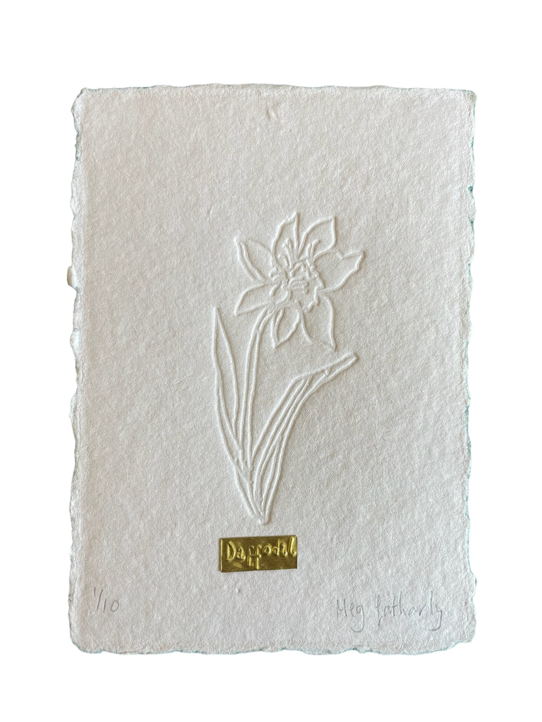 Limited Edition Daffodil Embossing and Tin on Handmade Paper - Flower of the month March