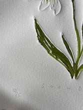 Load image into Gallery viewer, Limited Edition Snowdrop Flower of the Month Embossing, Drawing and Collage 21cm x 29cm
