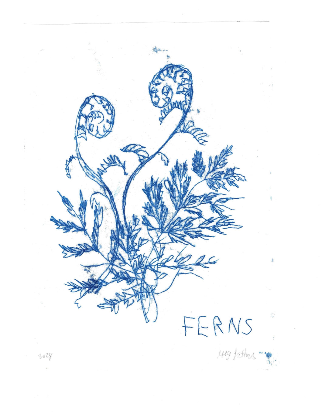 Original Monotype Ferns Drawing on Japanese Paper