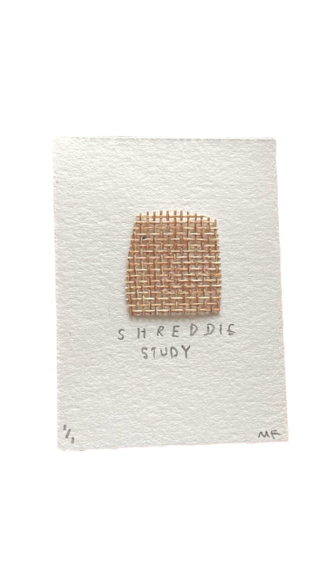 Original Shreddie Collage 5cm x 8cm