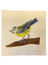 Load image into Gallery viewer, Limited Edition Blue Tit Collage 30cm x 30cm Digital Print
