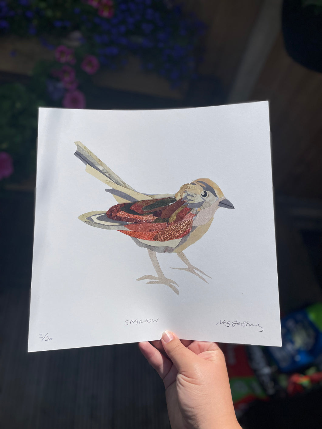 Limited Edition Glicee Print Sparrow Bird Collage 30cm x 30cm *SSF*