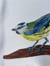 Load image into Gallery viewer, Limited Edition Glicee Print Blue Tit Bird Collage 30cm x 30cm *SSF*
