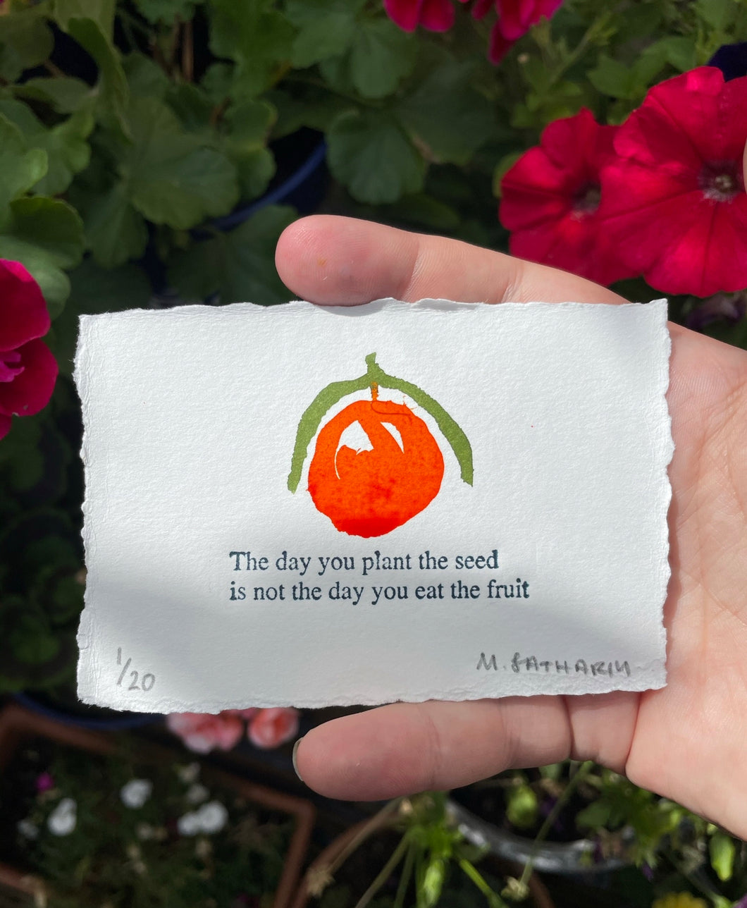 *Artist Proof* Limited Edition The Day you plant the seed is not the day you eat the fruit letterpress and drawing A7