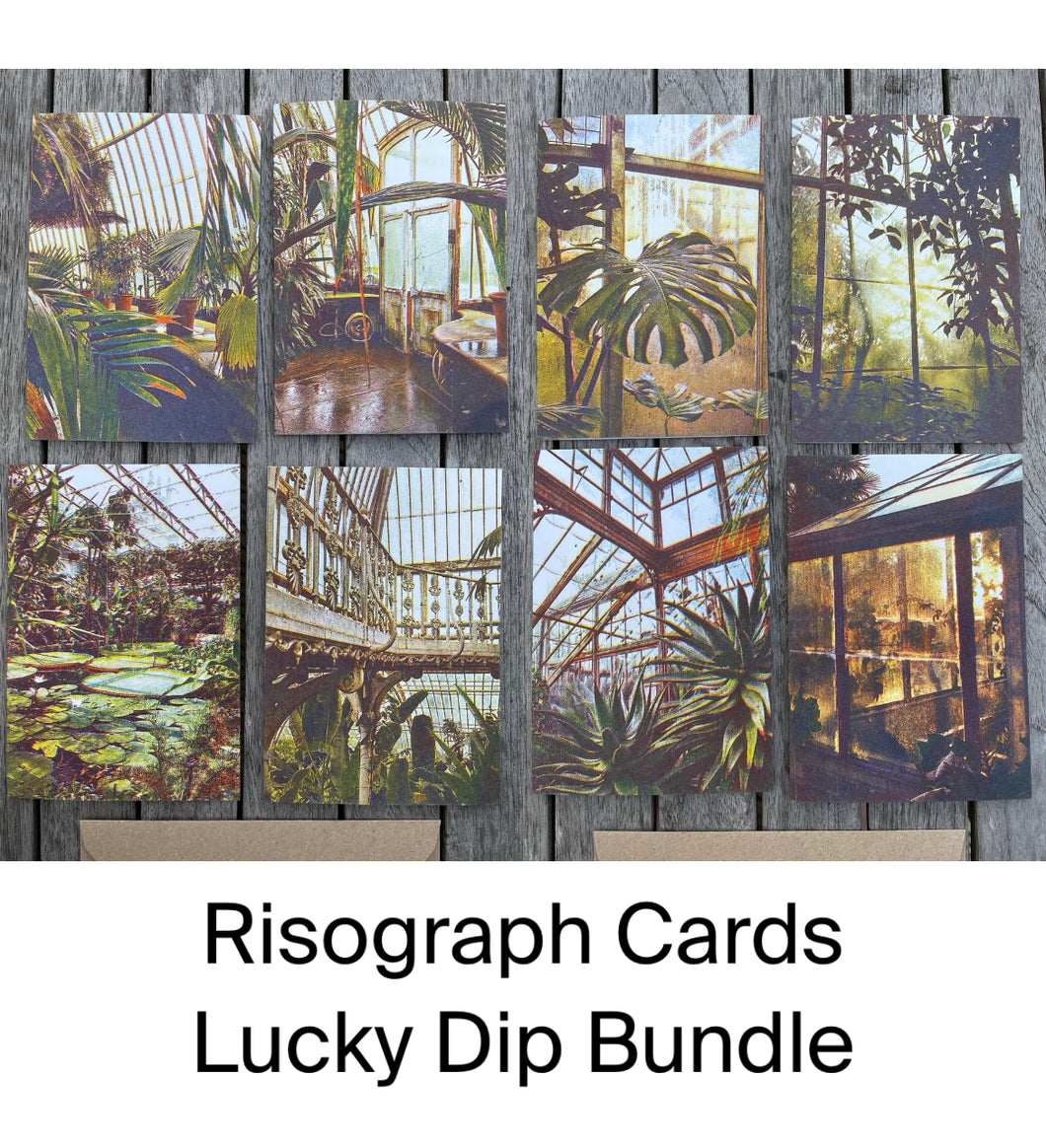 Lucky Dip Risograph Botanical Greeting Cards Bundle